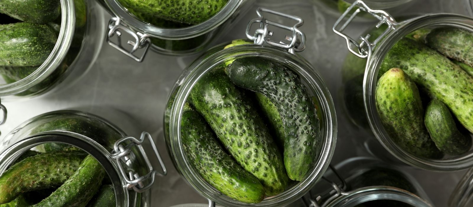 Pickled Gherkins