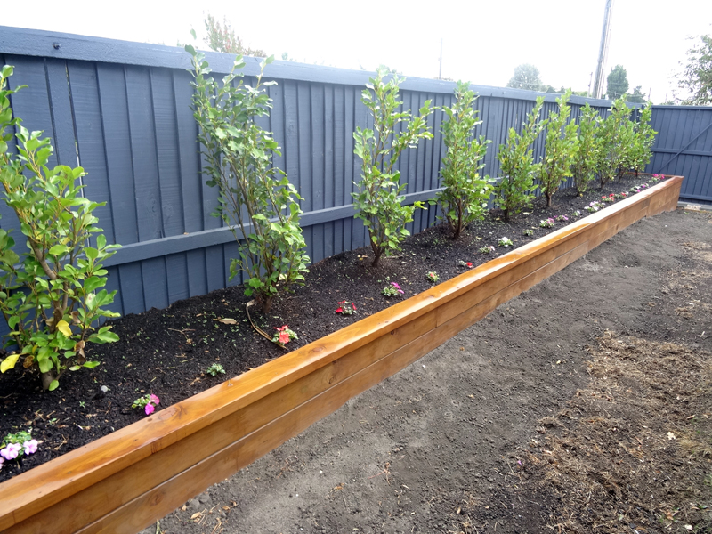 Oderings Landscaping A Raised Garden, How To Make Raised Garden Beds Nz