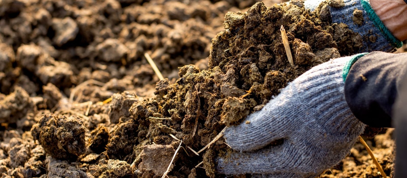 The Secrets in the Soil -Kick-start Healthy Soil for Spring