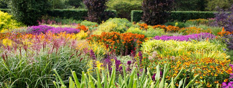 Garden planting, plant layout, planting services, landscaping 