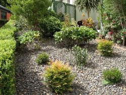 Garden planting, plant layout, planting services, landscaping 