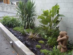 Garden planting, plant layout, planting services, landscaping 